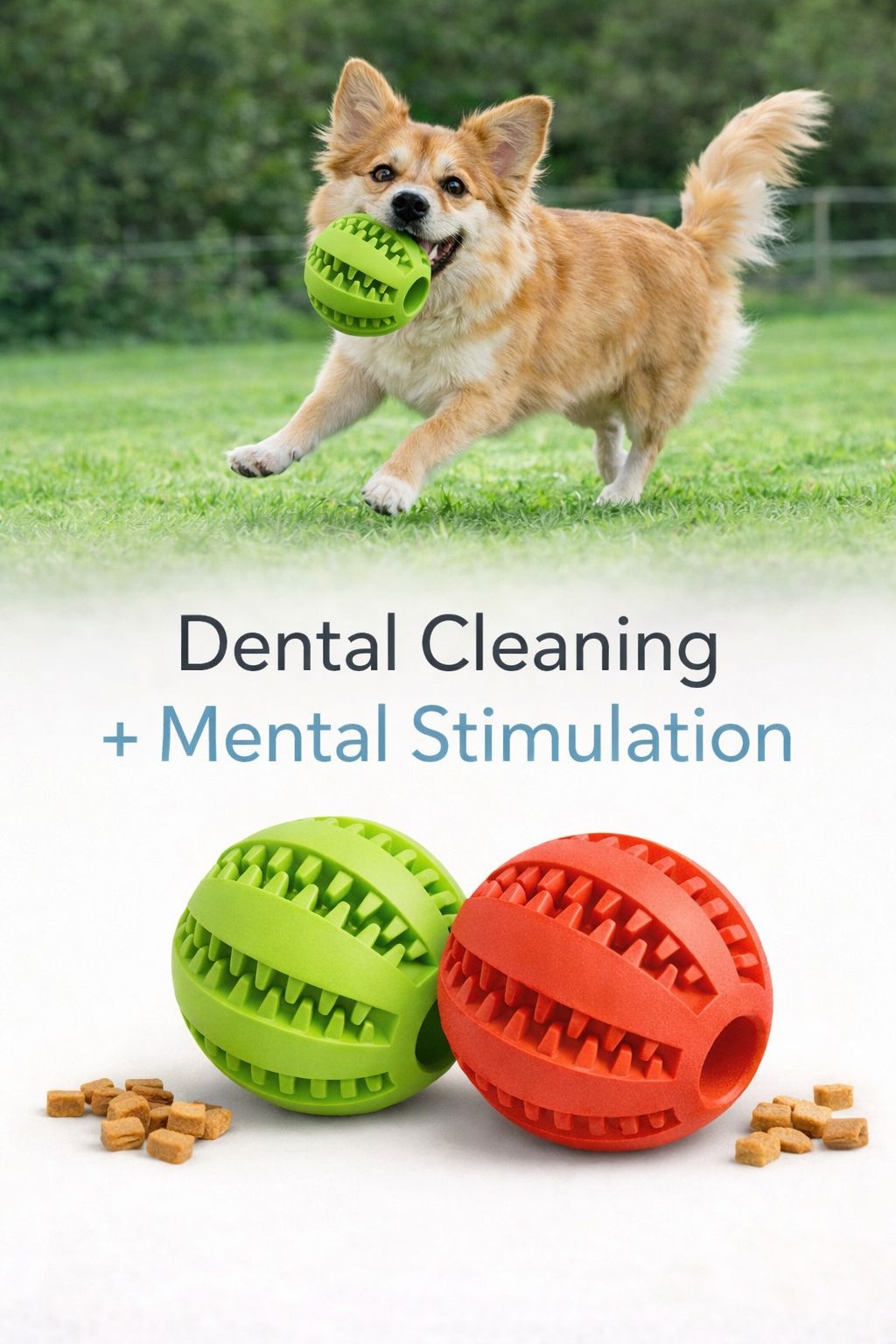 Reduces Boredom & Supports Dental Health