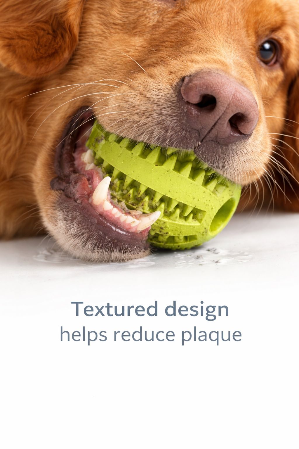 Reduces Boredom & Supports Dental Health